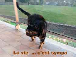 j'ai 8 ans
